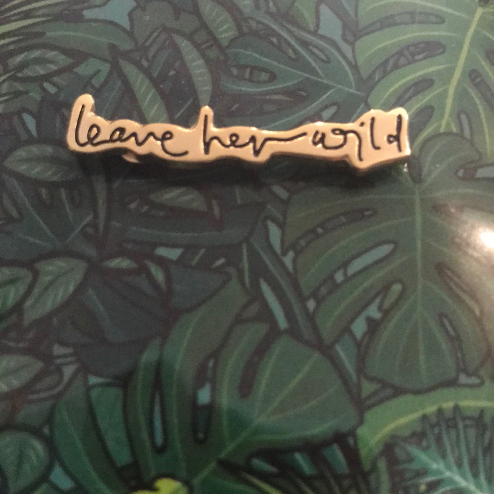 Leave her wild and lightening bolt Pins (2)